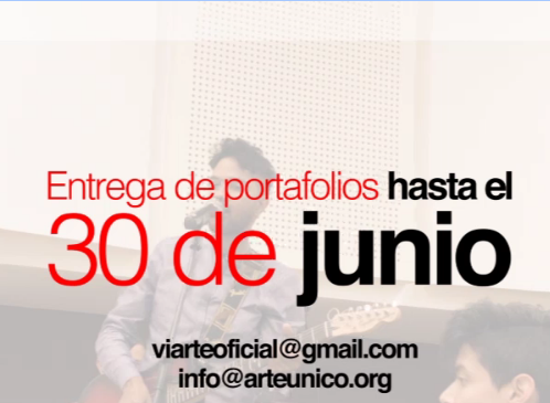 Arte Unico, Convocatoria Viarte